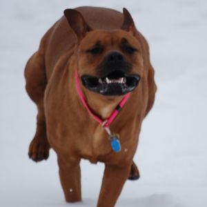 Meet your Posher, Lee